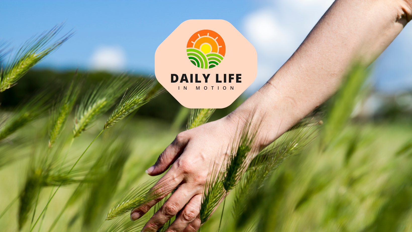 _dailylifeinmotion_facebook_cover _dailylifeinmotion_facebook_cover